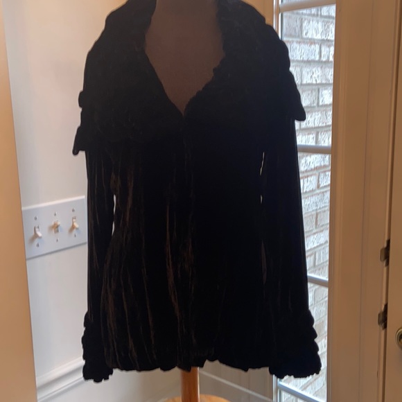 Holly In Hanoi Silk Velvet Jacket - Picture 5 of 16